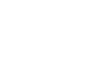 Transition 2050